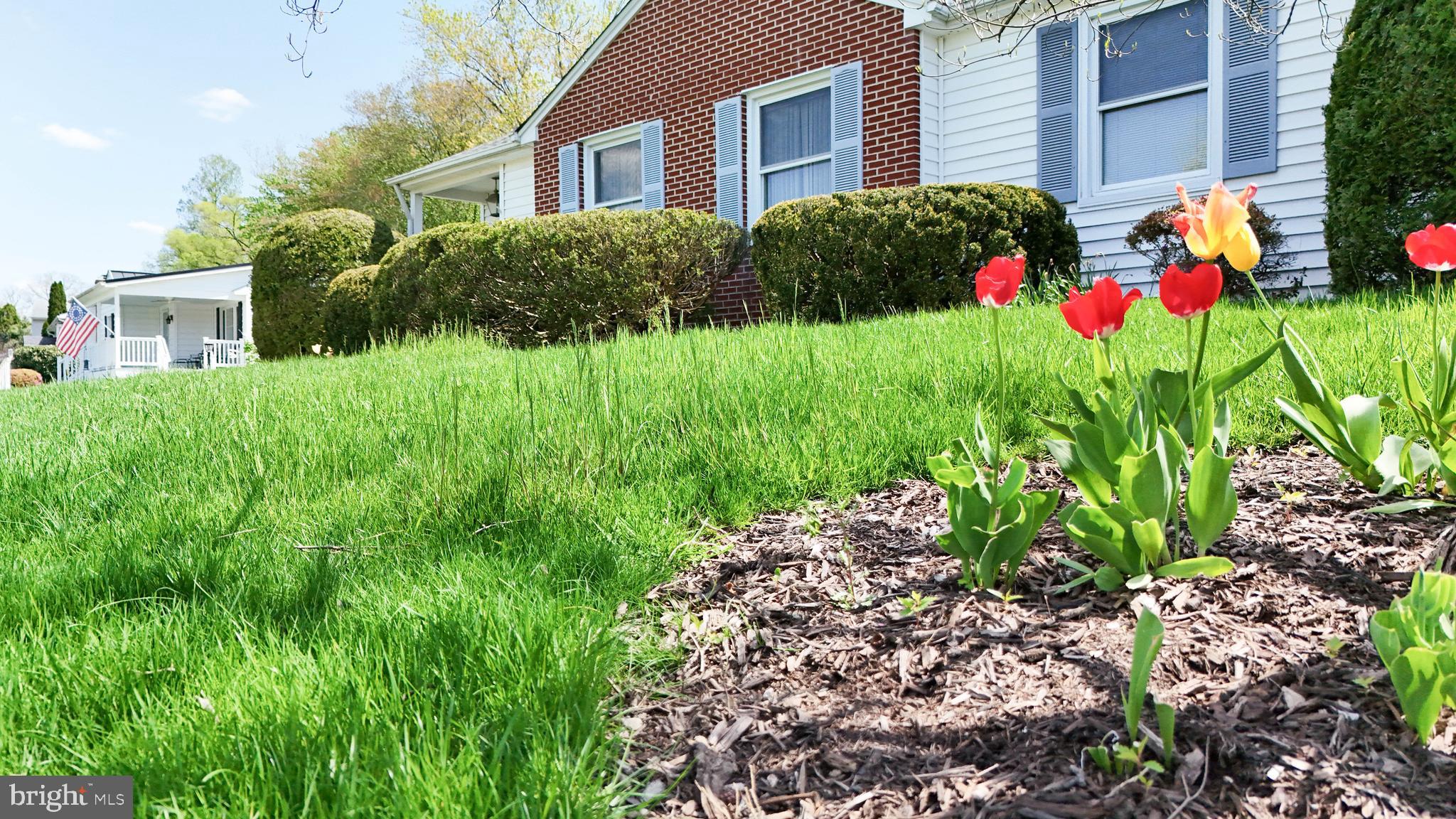 8121 Rider Avenue Towson, MD 21204 - Photo 2 of 74 Gallery Image 2