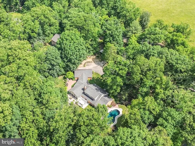 a view of a house with a yard and tree s