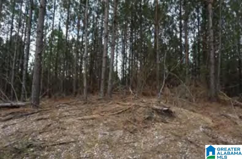 0 Highway 5, Unit 19 ACRES Centreville, AL 35042 - Photo 8 of 9