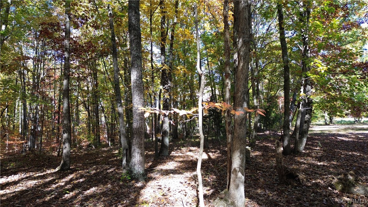 1367 South Constitution Route Dillwyn, VA 23936 - Photo 14 of 44