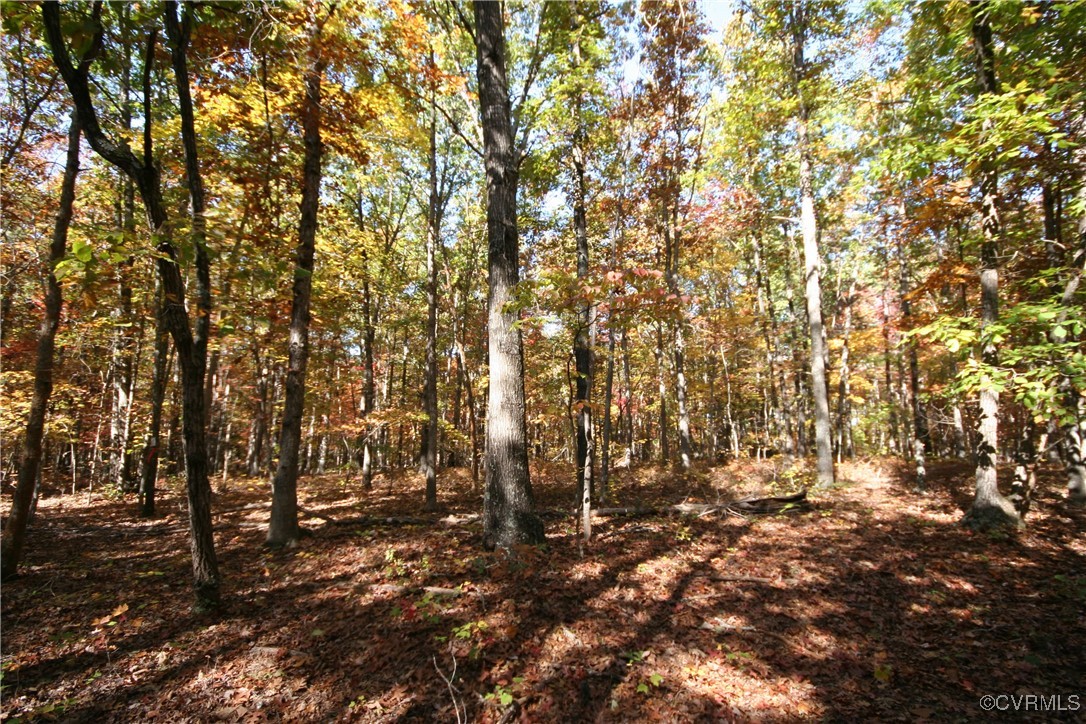 1367 South Constitution Route Dillwyn, VA 23936 - Photo 23 of 44