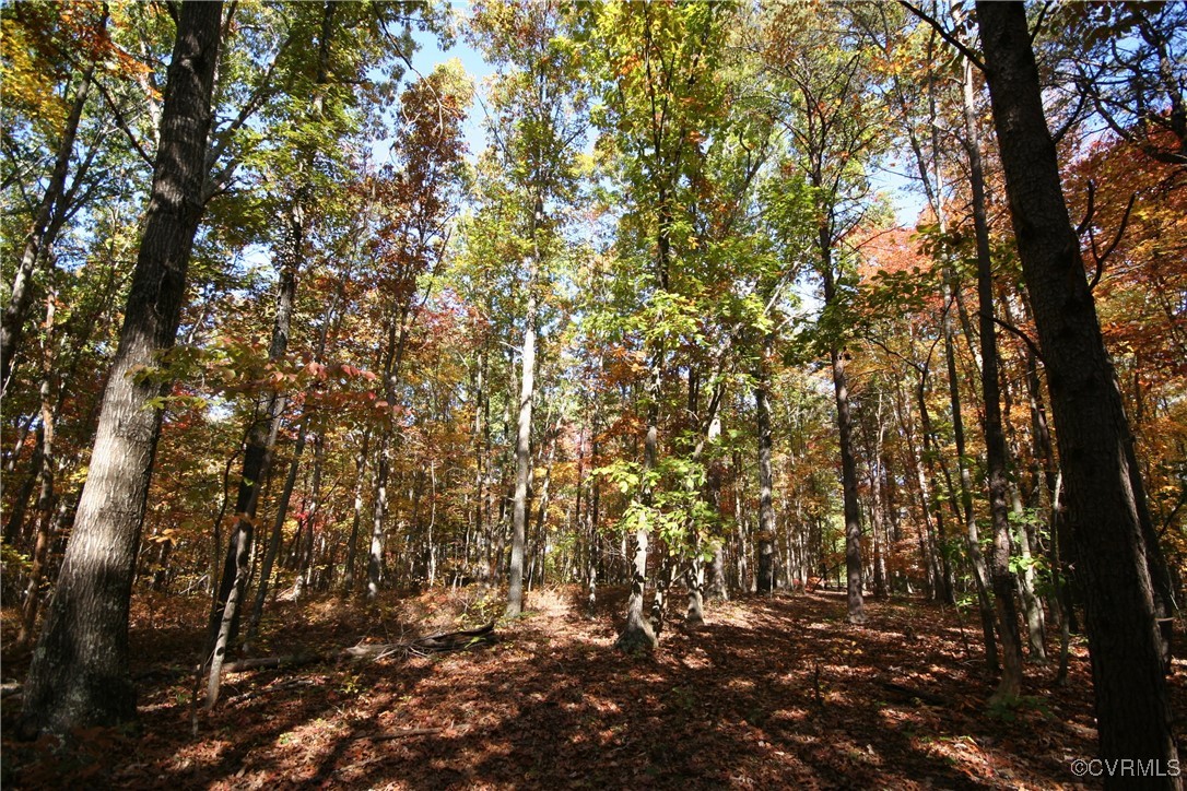 1367 South Constitution Route Dillwyn, VA 23936 - Photo 24 of 44