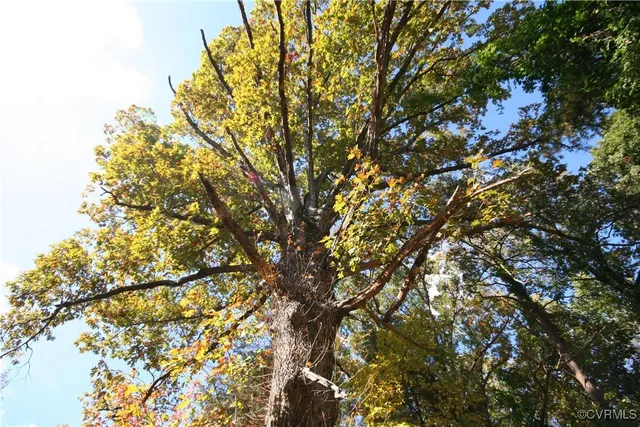 $169,000 | 1367 South Constitution Route, Dillwyn, VA 23936