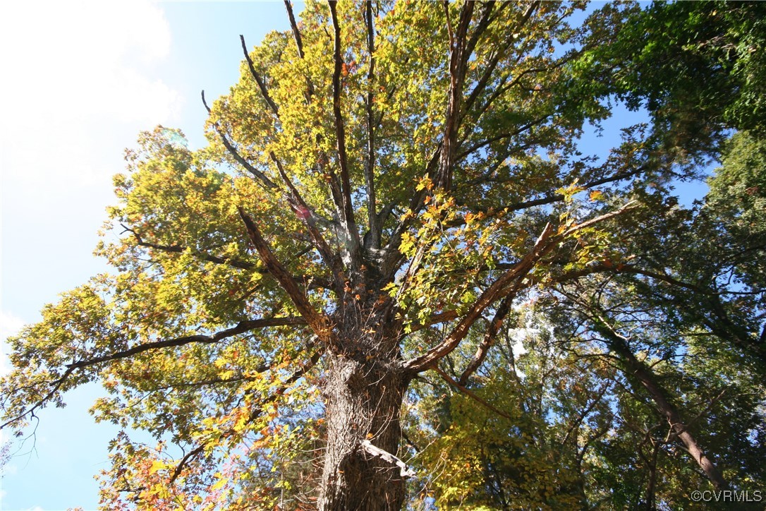 1367 South Constitution Route Dillwyn, VA 23936 - Photo 28 of 44