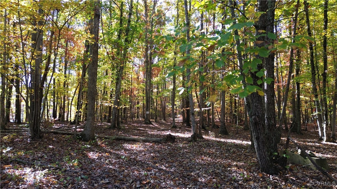 1367 South Constitution Route Dillwyn, VA 23936 - Photo 10 of 44