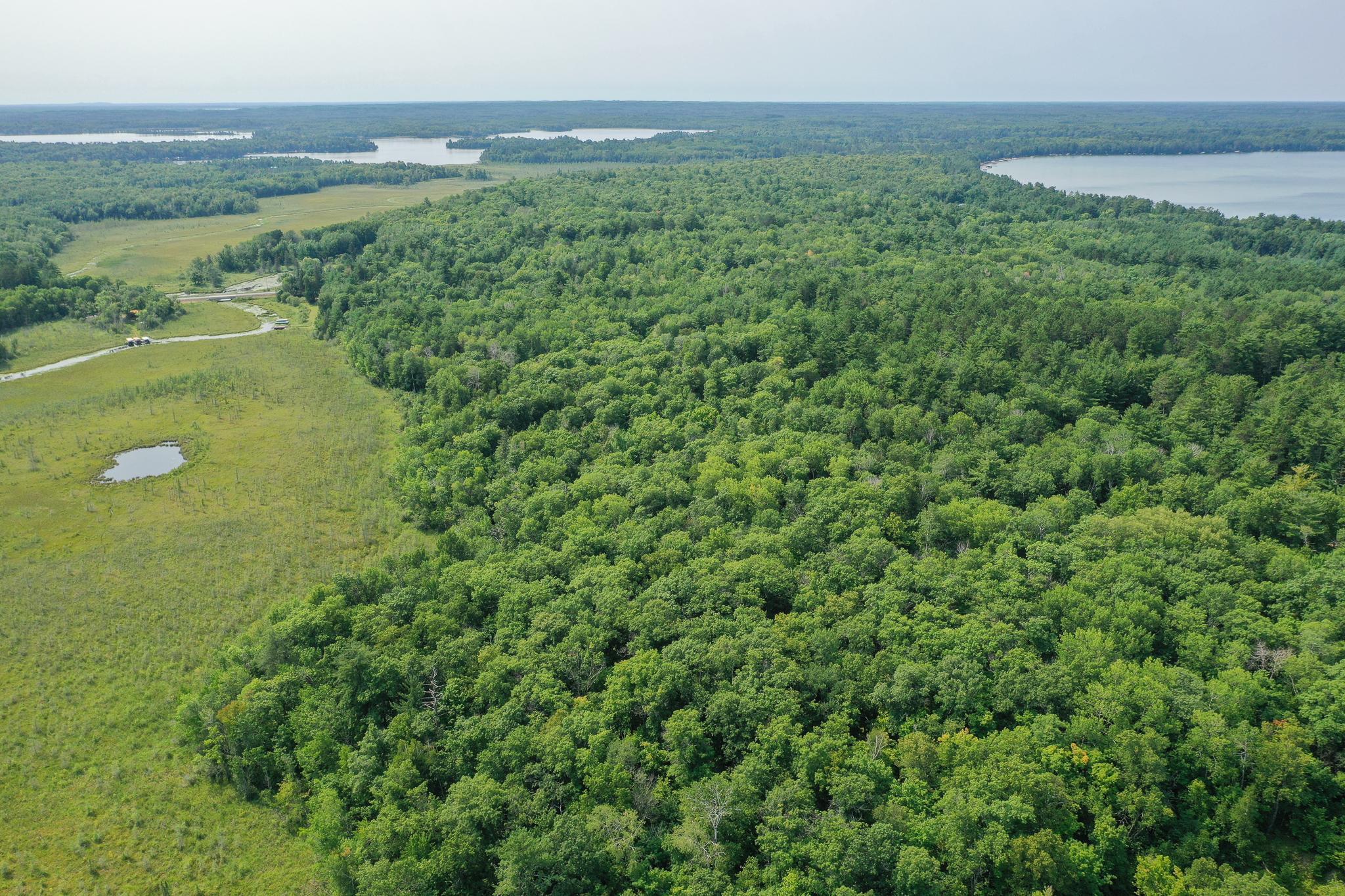 4452 Boone Point Road Northwest Hackensack, MN 56452 - Photo 14 of 17 Gallery Image 14