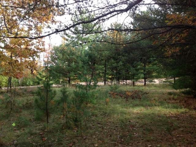 8288 Blue Jay Road Lake Tomahawk, WI 54539 - Photo 11 of 20 Gallery Image 11
