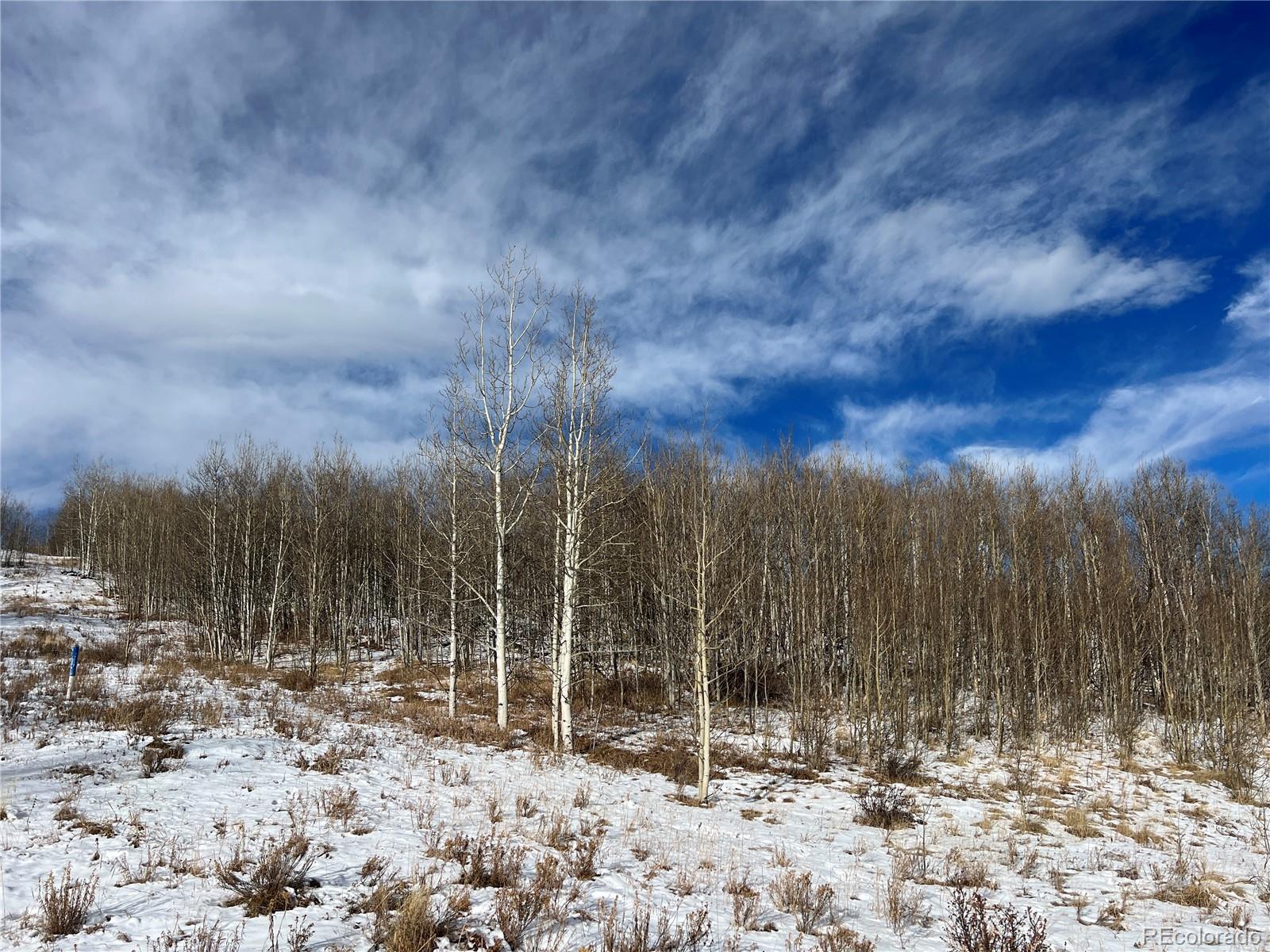 39 Lumberjack Road Fairplay, CO 80440 - Photo 14 of 26