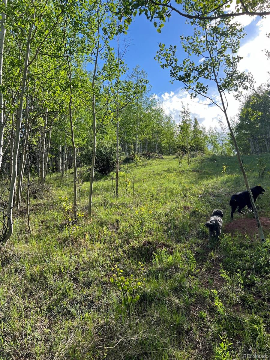 39 Lumberjack Road Fairplay, CO 80440 - Photo 16 of 26