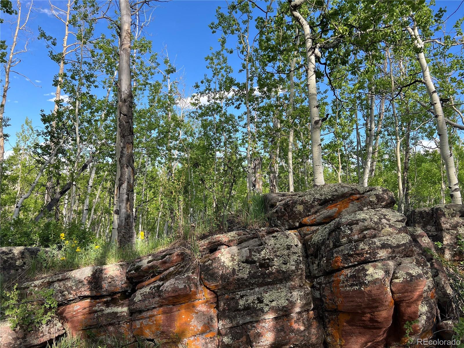 39 Lumberjack Road Fairplay, CO 80440 - Photo 22 of 26