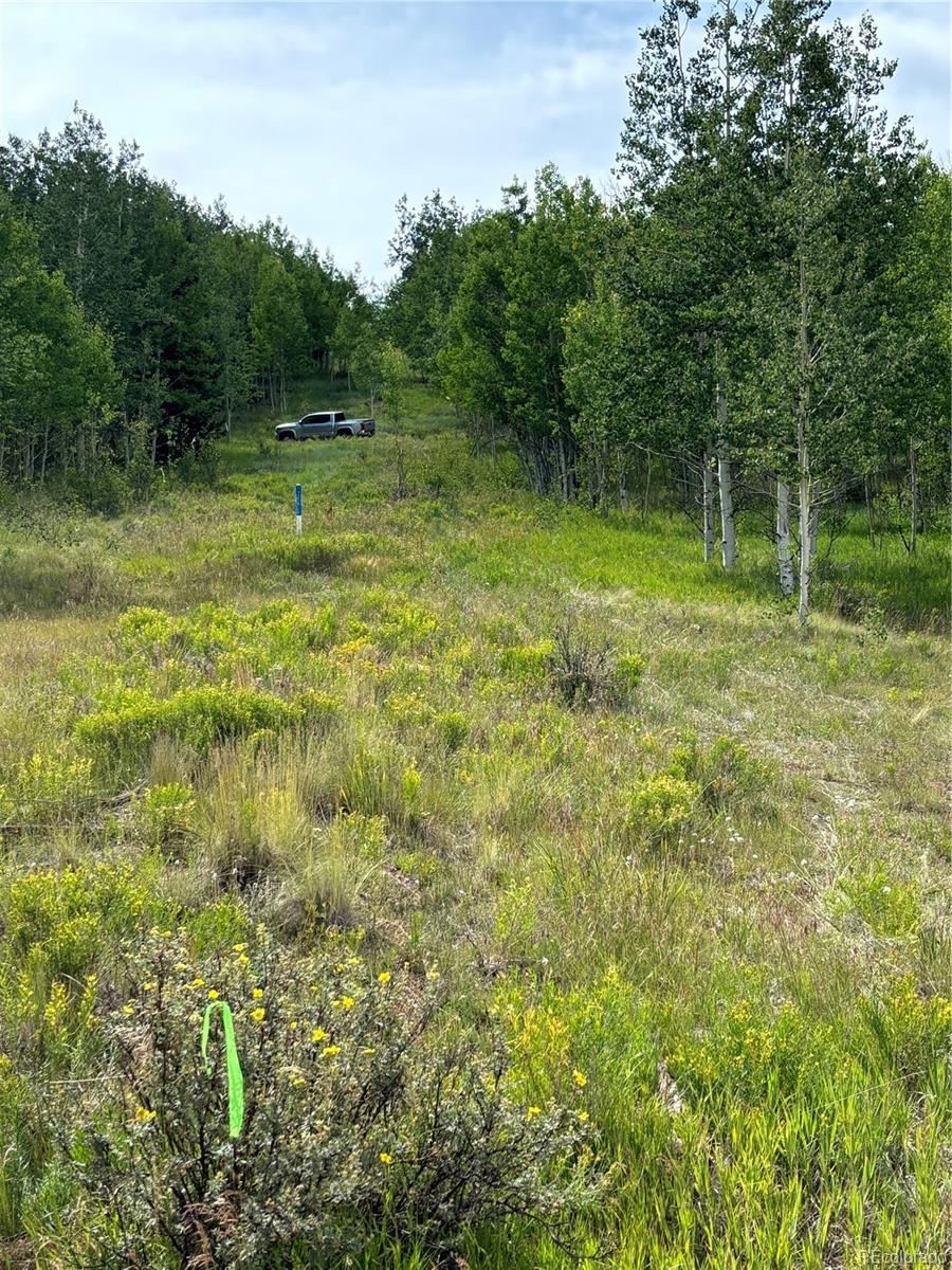 39 Lumberjack Road Fairplay, CO 80440 - Photo 3 of 26