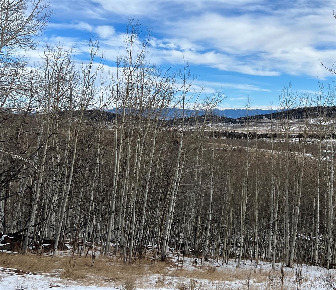 39 Lumberjack Road Fairplay, CO 80440 - Photo 8 of 26