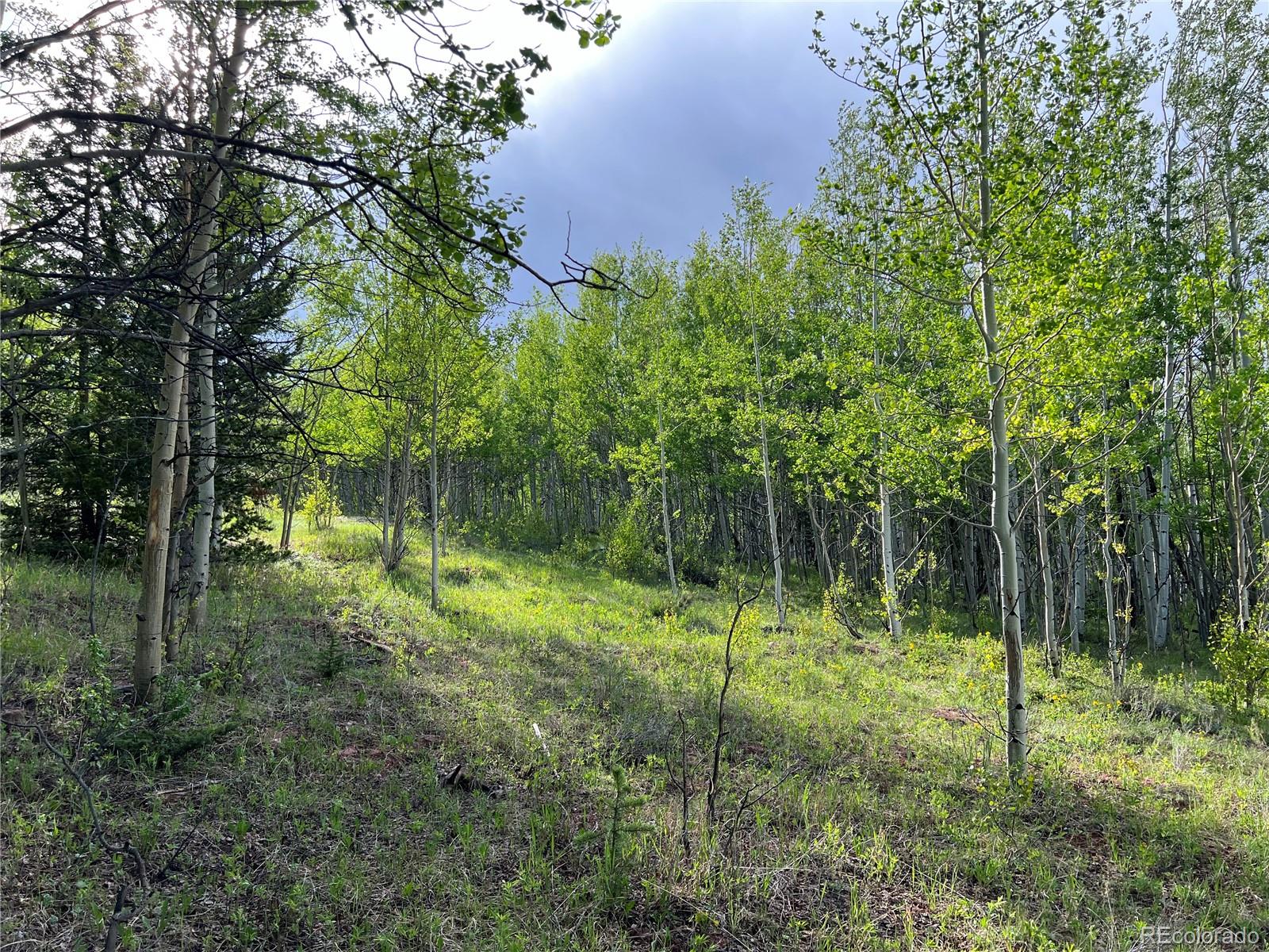 39 Lumberjack Road Fairplay, CO 80440 - Photo 9 of 26