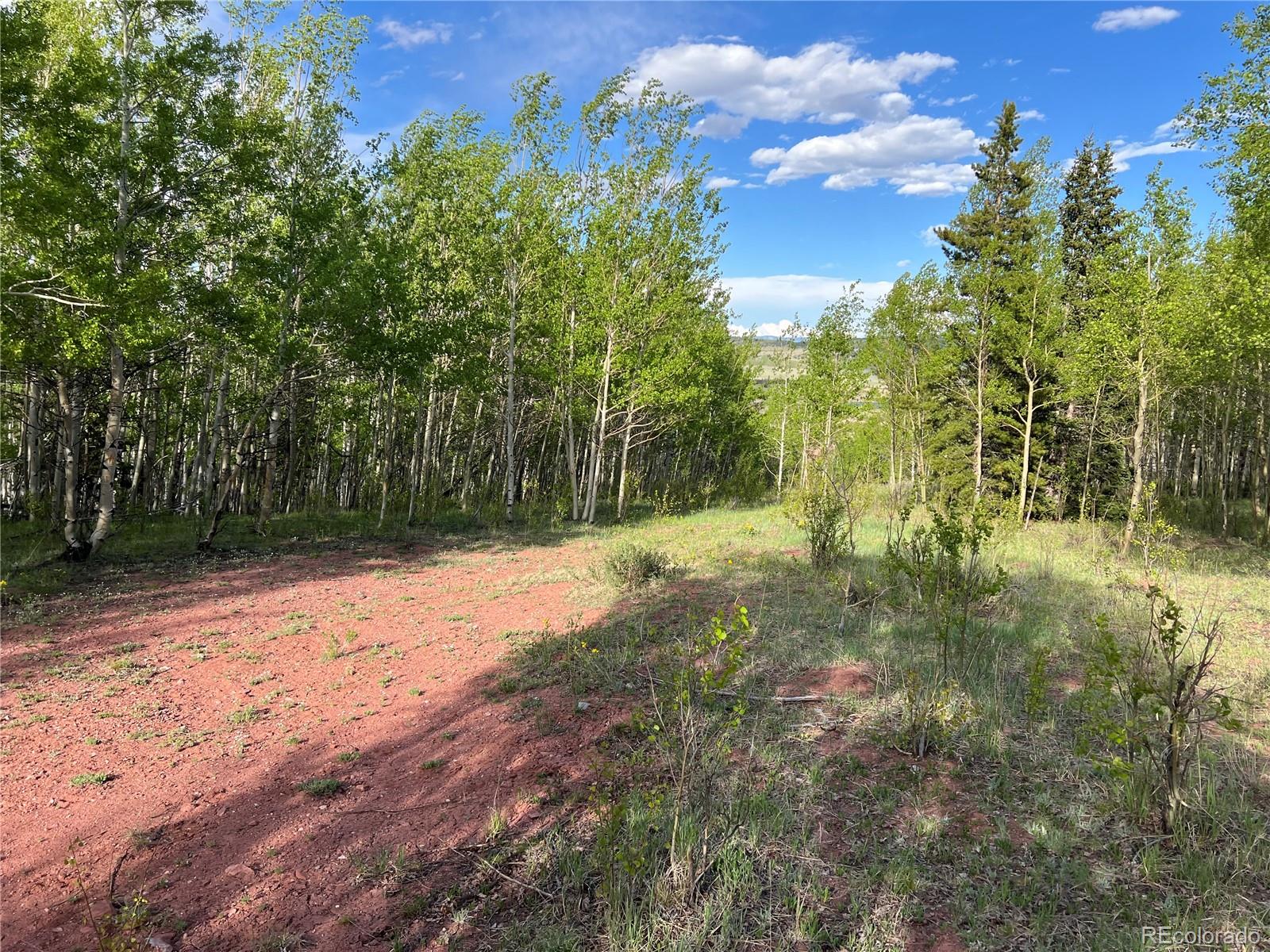 39 Lumberjack Road Fairplay, CO 80440 - Photo 10 of 26