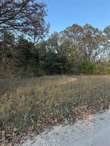 $300,000 | 19353 County Road 1140, St. James, MO 65559