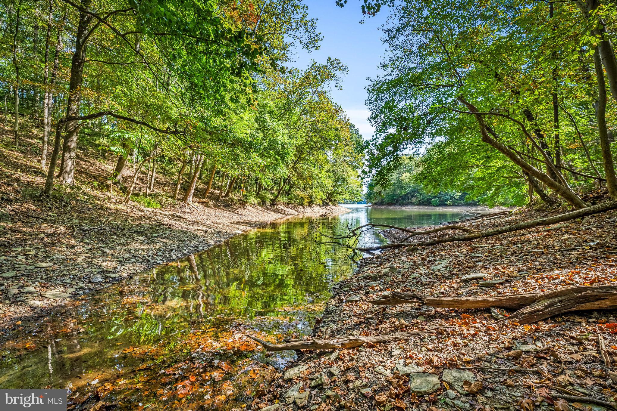 660 Greenbridge Road Brookeville, MD 20833 - Photo 36 of 56 a view of a yard with plants and large trees