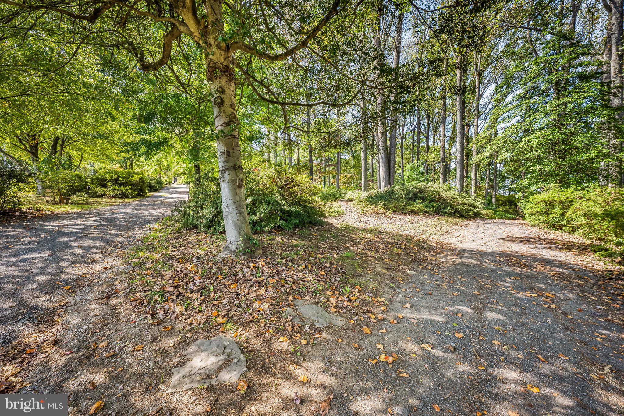 660 Greenbridge Road Brookeville, MD 20833 - Photo 50 of 56 a view of a yard with plants and trees