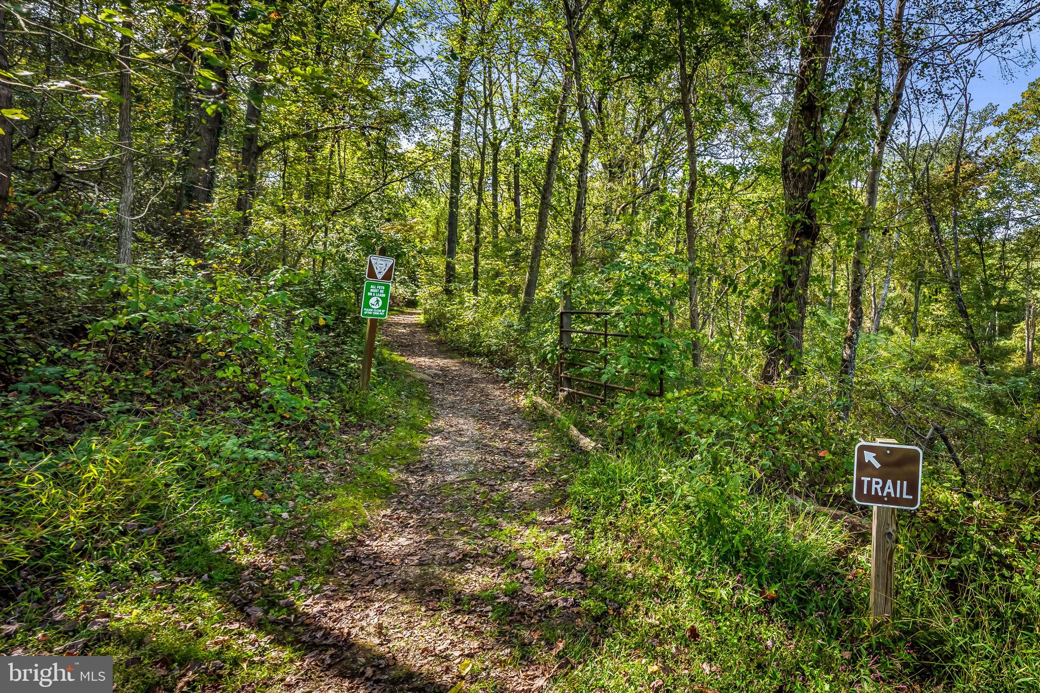 660 Greenbridge Road Brookeville, MD 20833 - Photo 6 of 56 a view of a lush green forest