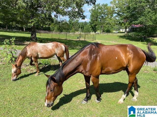 1790 Pleasant Valley Road Odenville, AL 35120 - Photo 39 of 46 Gallery Image 39