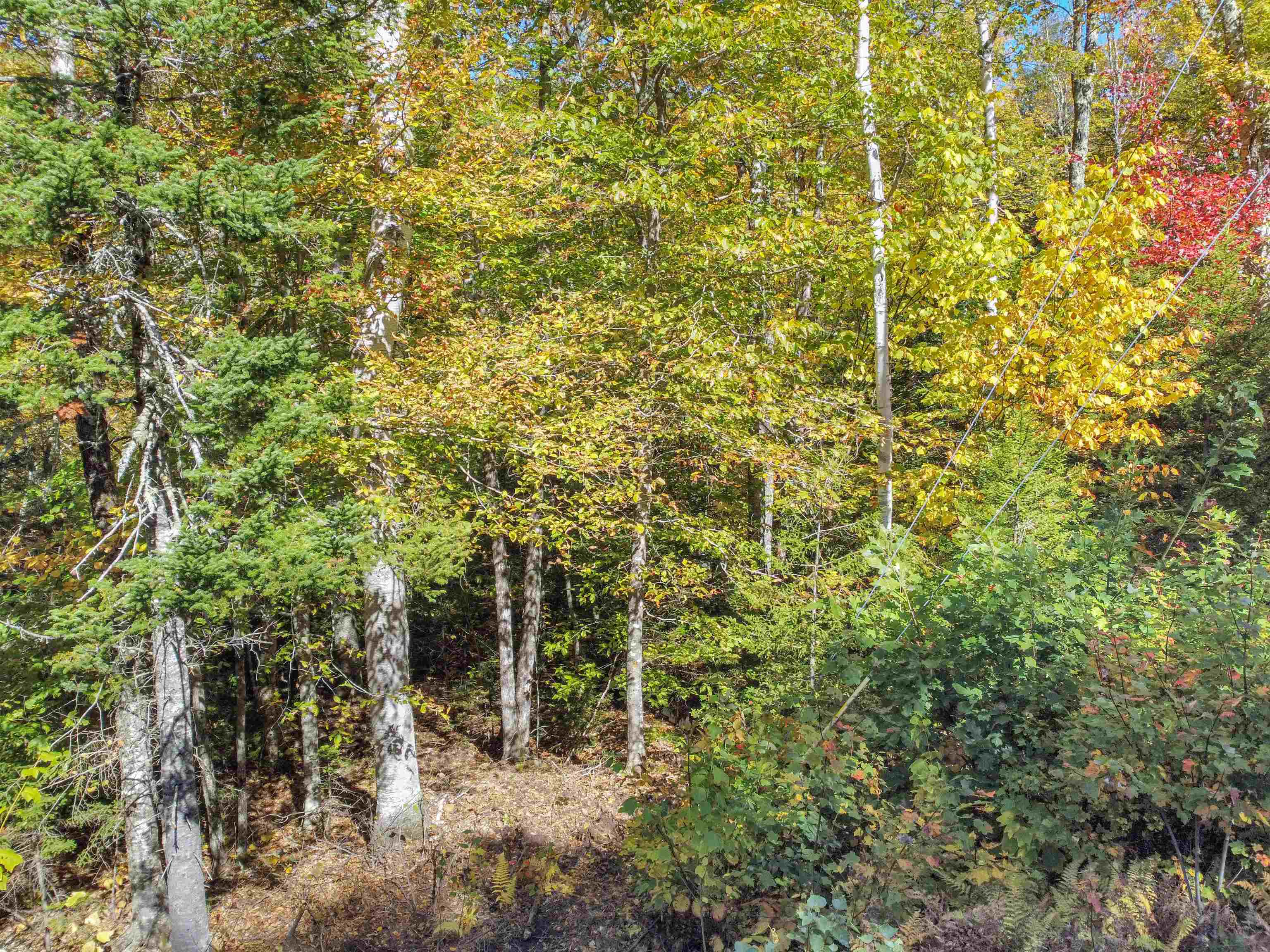 137 Reservoir Road, Unit B28 Campton, NH 03223 - Photo 24 of 34