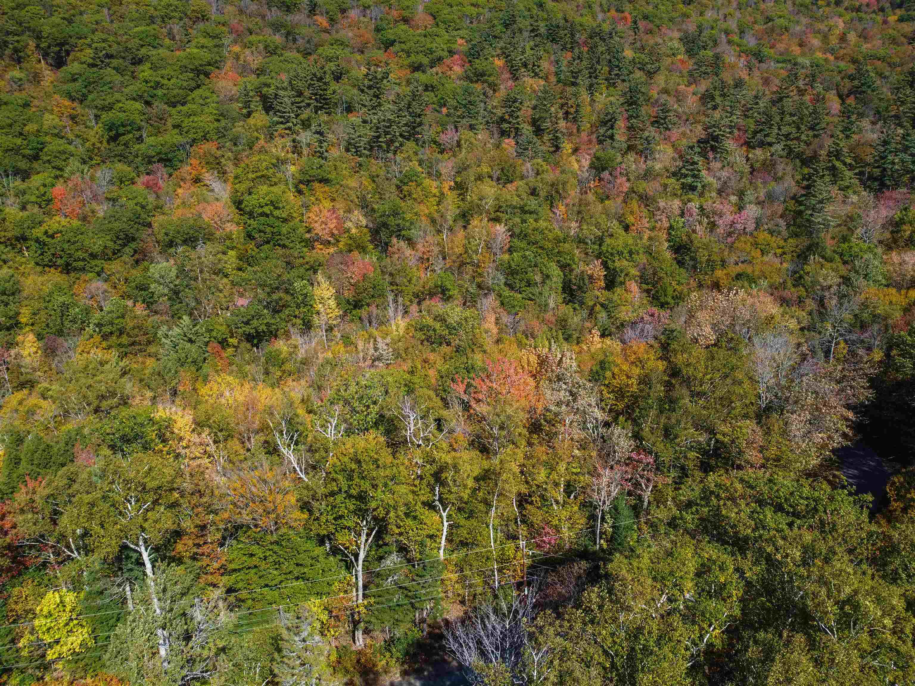 137 Reservoir Road, Unit B28 Campton, NH 03223 - Photo 5 of 34