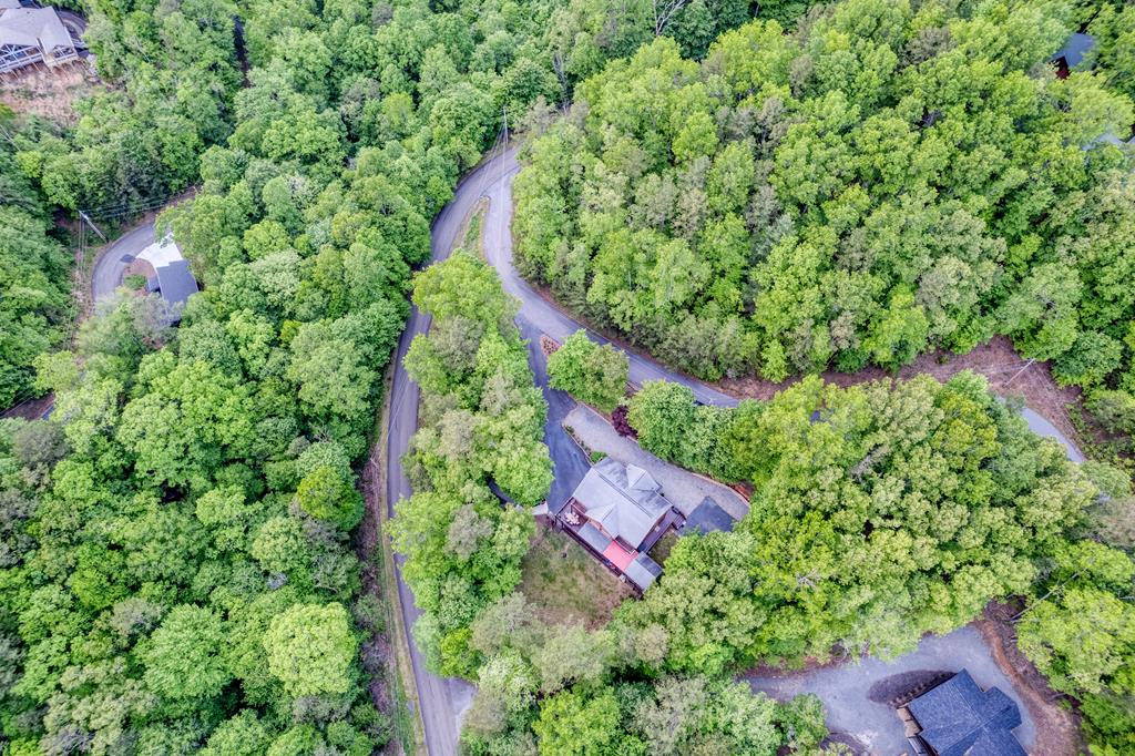 26 Chickasaw Trail Blue Ridge, GA 30513 - Photo 54 of 54 an aerial view of a house with a yard