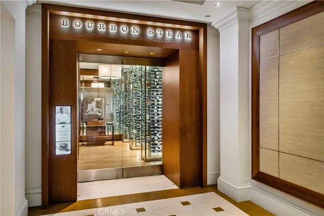 a view of a garden with plants and a bench