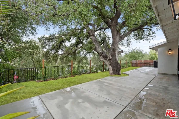 a view of a park with large trees