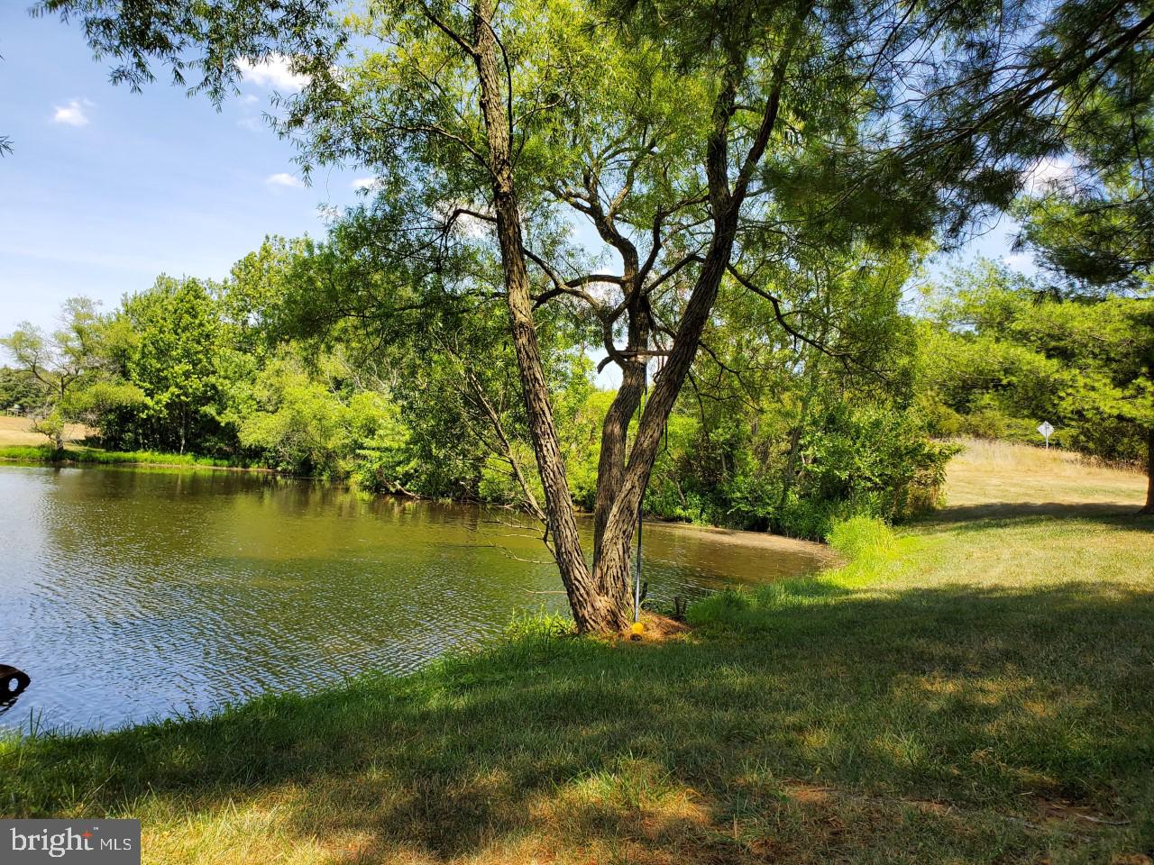 14109 Old Frederick Road Rocky Ridge, MD 21778 - Photo 103 of 124 Pond