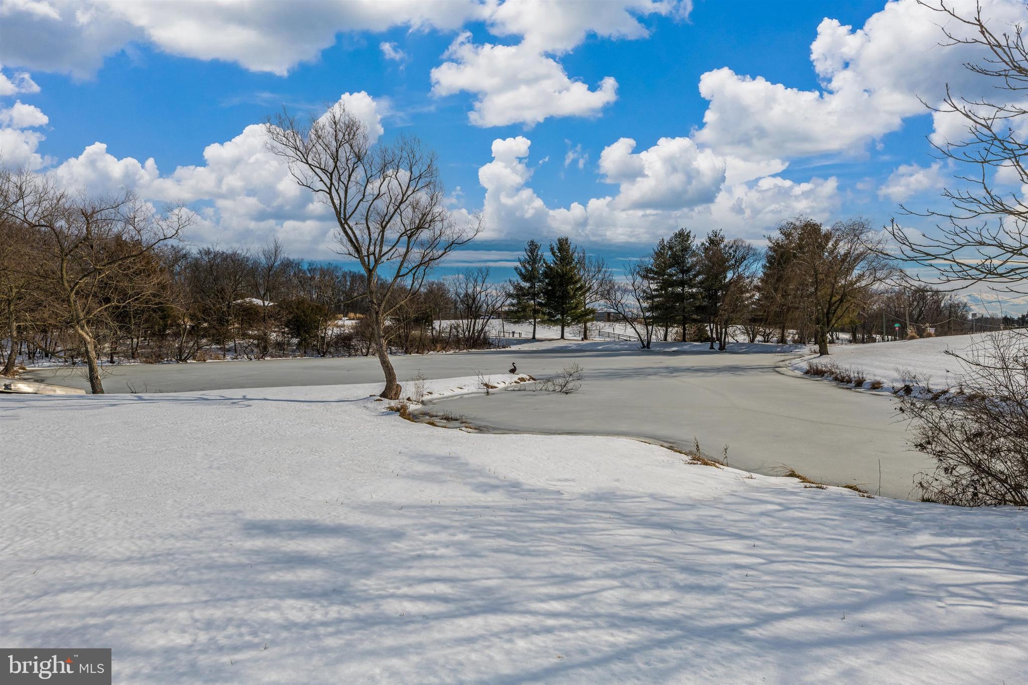 14109 Old Frederick Road Rocky Ridge, MD 21778 - Photo 104 of 124 Pond