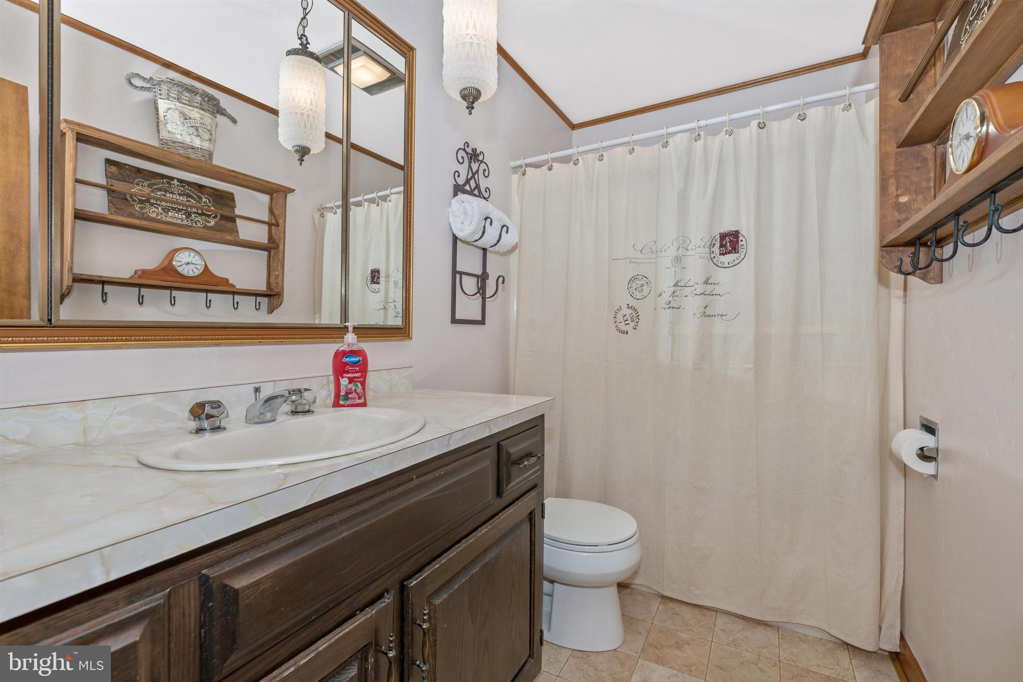14109 Old Frederick Road Rocky Ridge, MD 21778 - Photo 75 of 124 3rd full bath