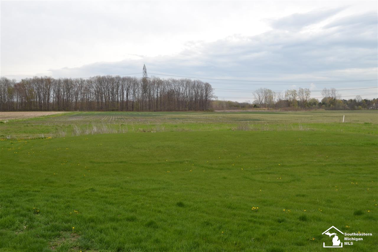 9664 Exeter Road Carleton, MI 48117 - Photo 3 of 24