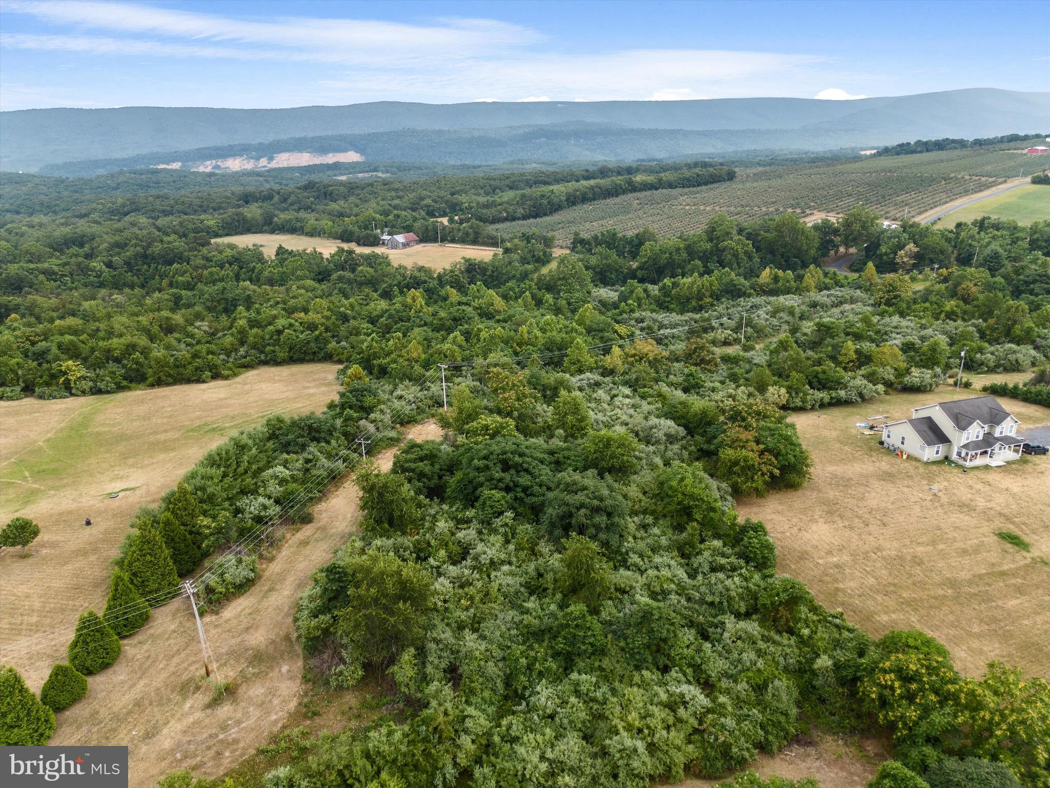 L13 Parishville Road Gore, VA 22637 - Photo 16 of 33 Gallery Image 16