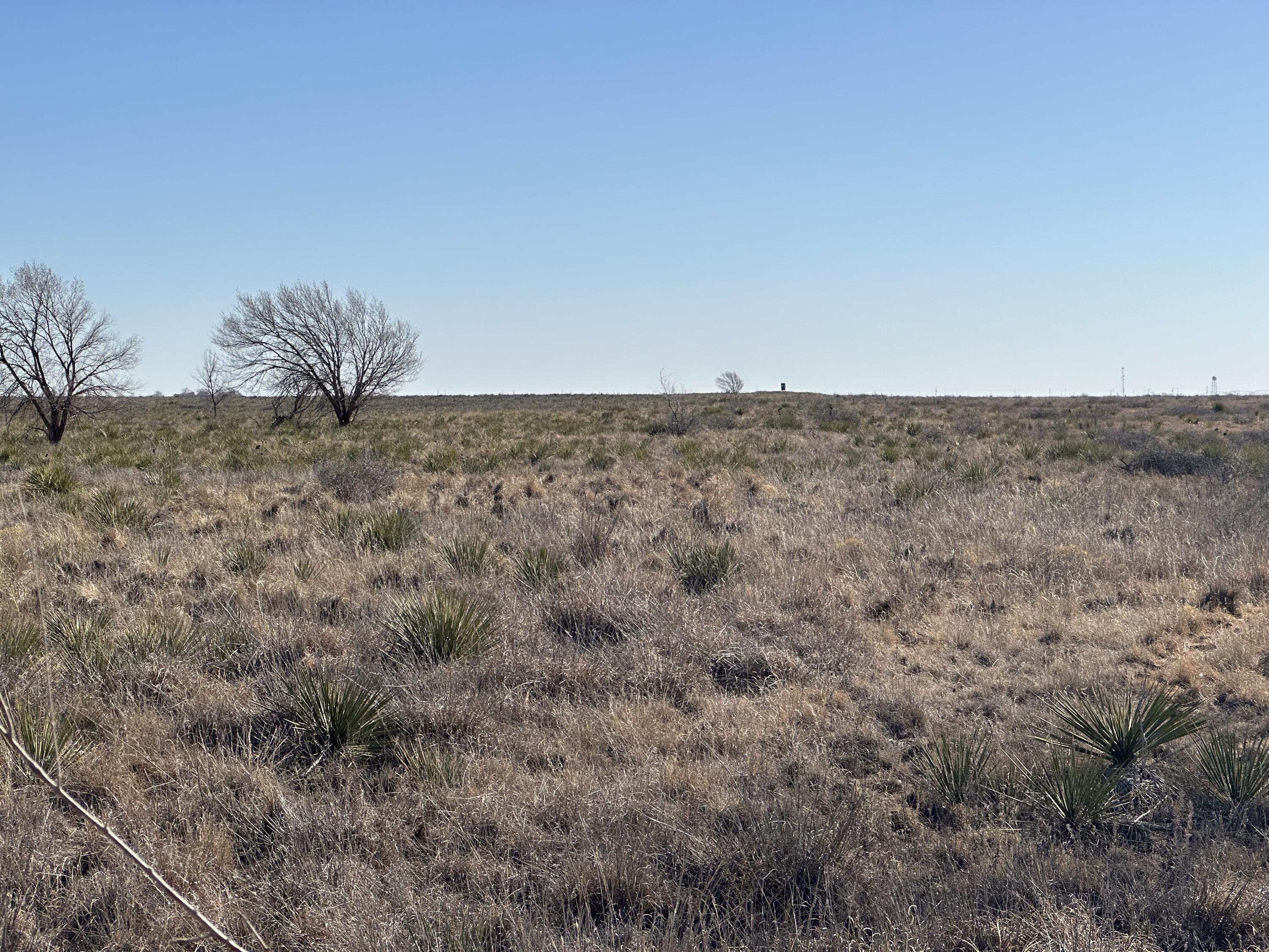 0 Boston Road Littlefield, TX 79339 - Photo 11 of 13 IMG_4594