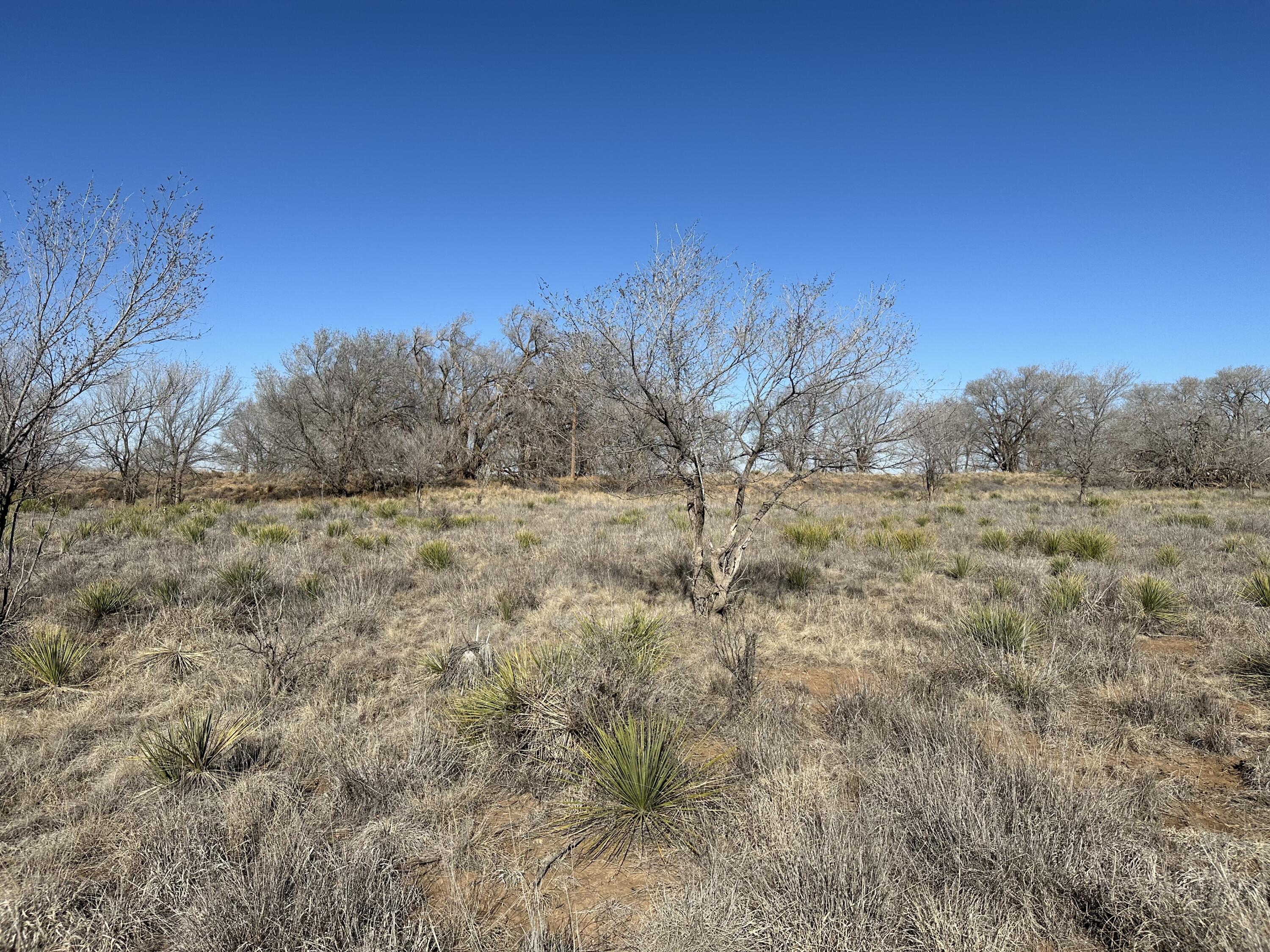 0 Boston Road Littlefield, TX 79339 - Photo 7 of 13 IMG_4608