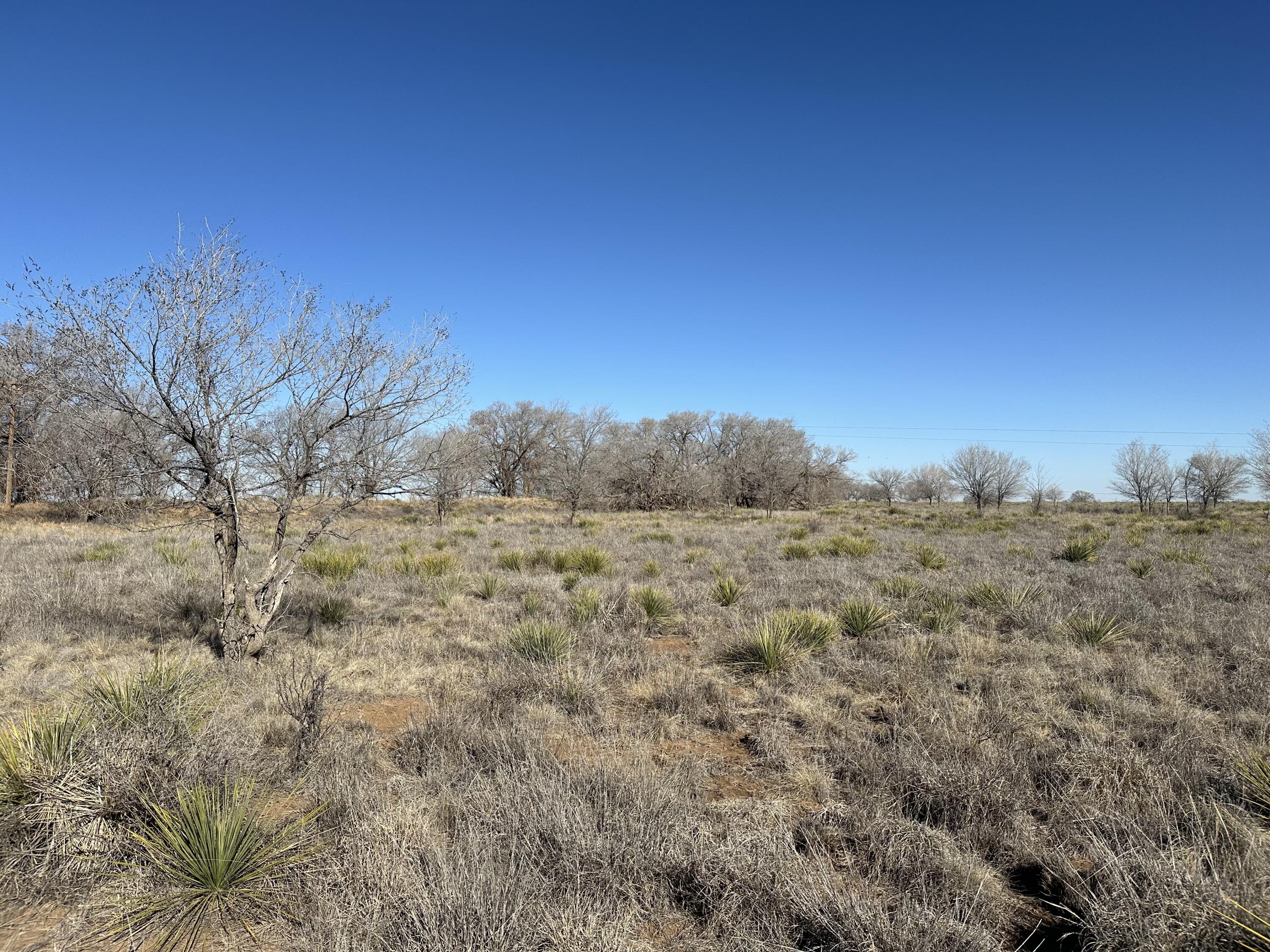 0 Boston Road Littlefield, TX 79339 - Photo 10 of 13 IMG_4599