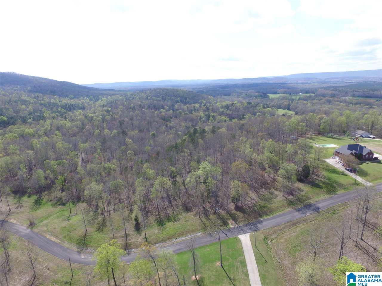 414 Stone Ridge, Unit 5 AND 6 Springville, AL 35146 - Photo 9 of 20
