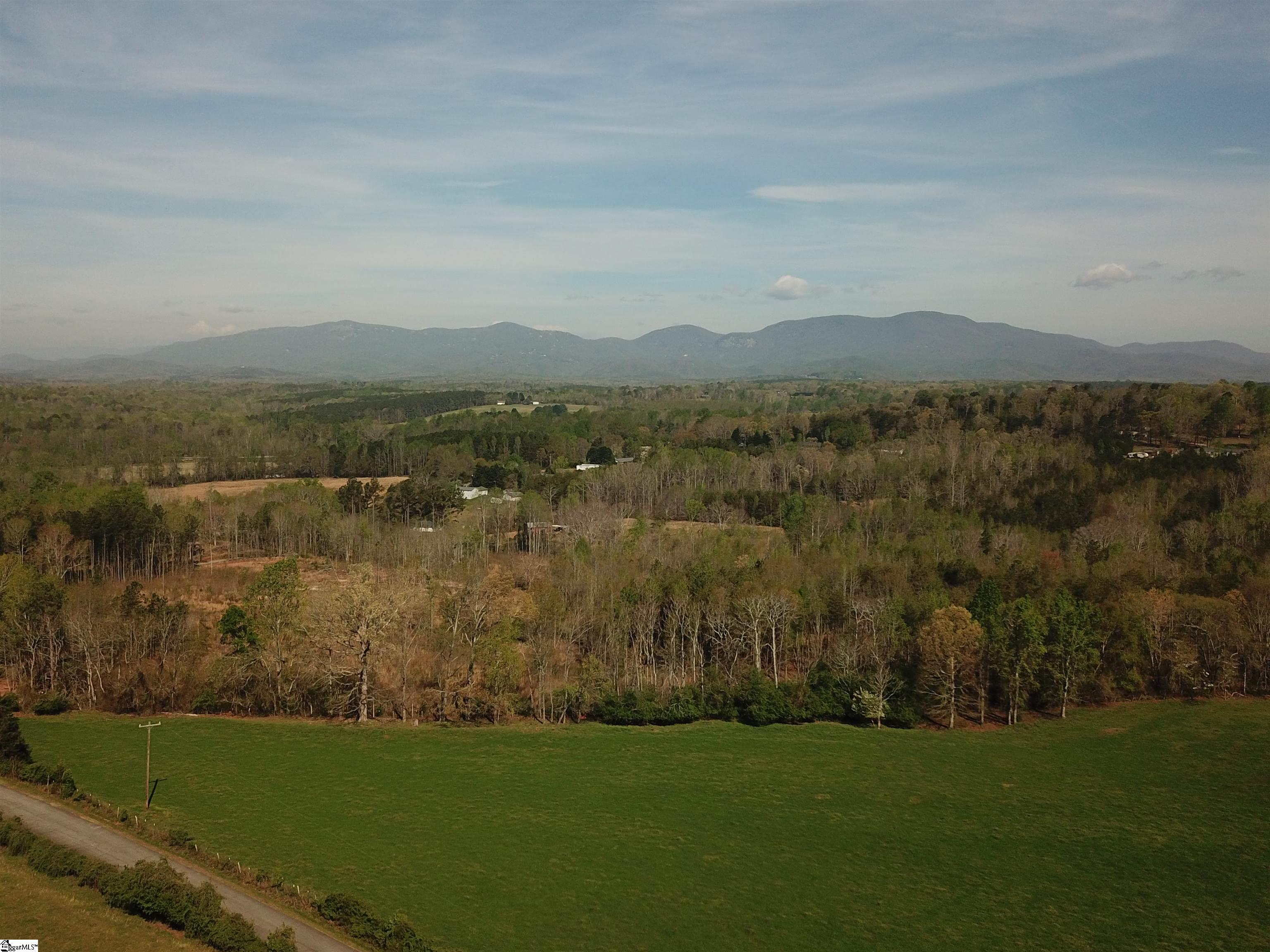 307 Turner Barton Road Landrum, SC 29356 - Photo 1 of 2