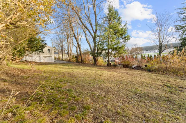 a view of a yard with a tree