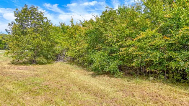 a view of a yard with a tree