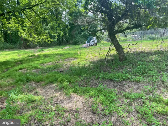 a view of outdoor space with deck and tree