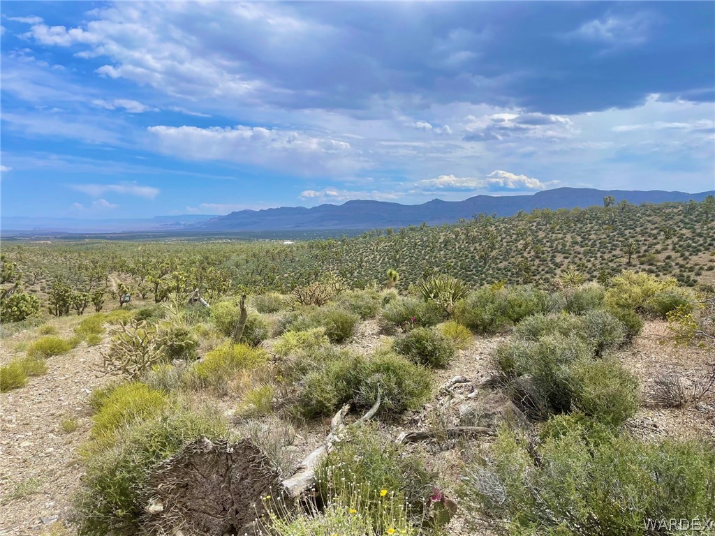 336-05-033 Smith Road Meadview, AZ 86444 - Photo 24 of 36 a view of a yard