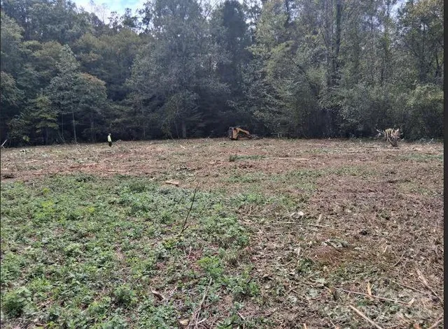 a view of backyard with green space