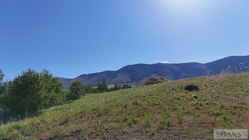 1398 Mogul Lane Inkom, ID 83245 - Photo 5 of 33