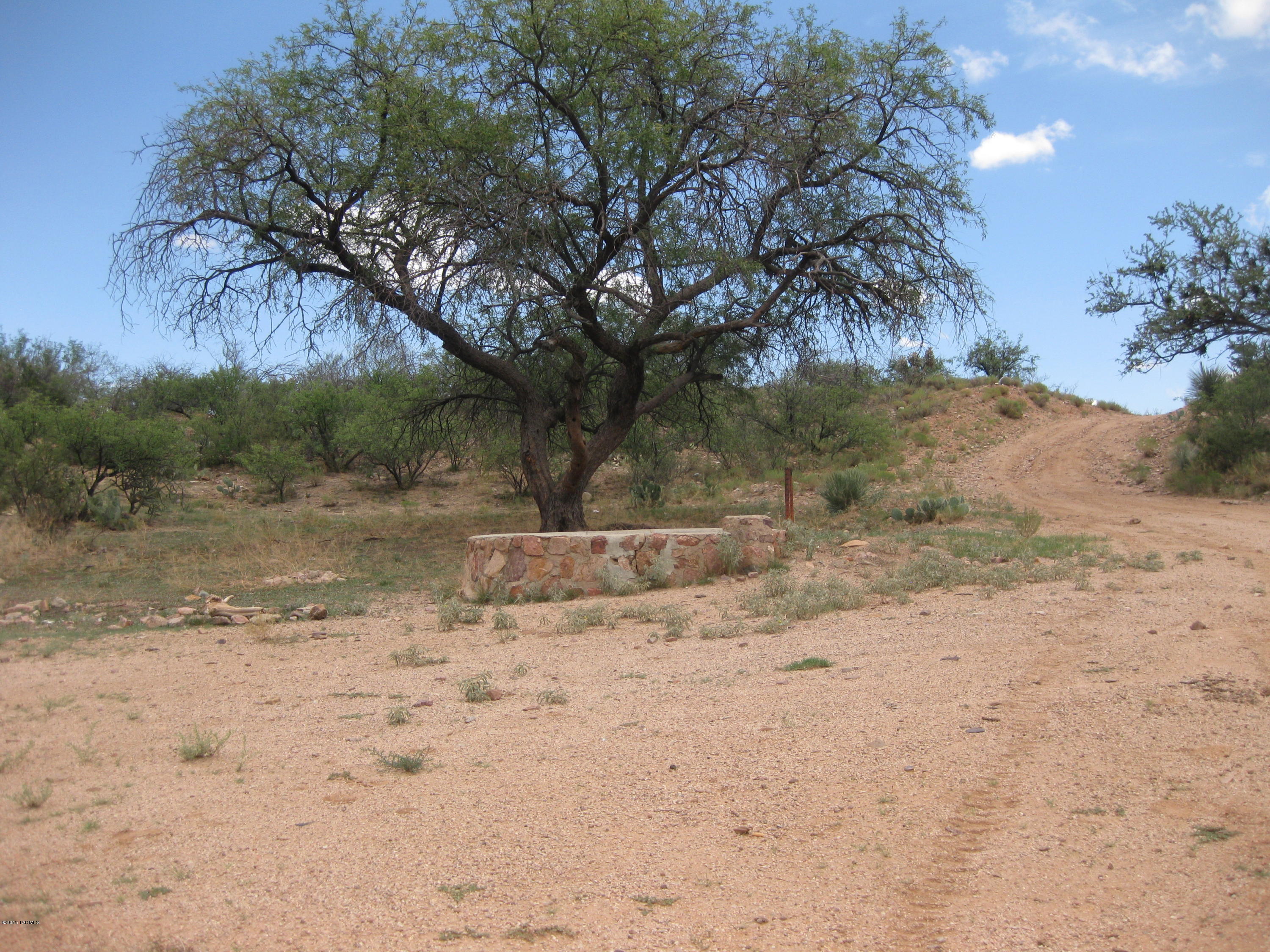 Hugget Road Oracle, AZ 85623 - Photo 6 of 9