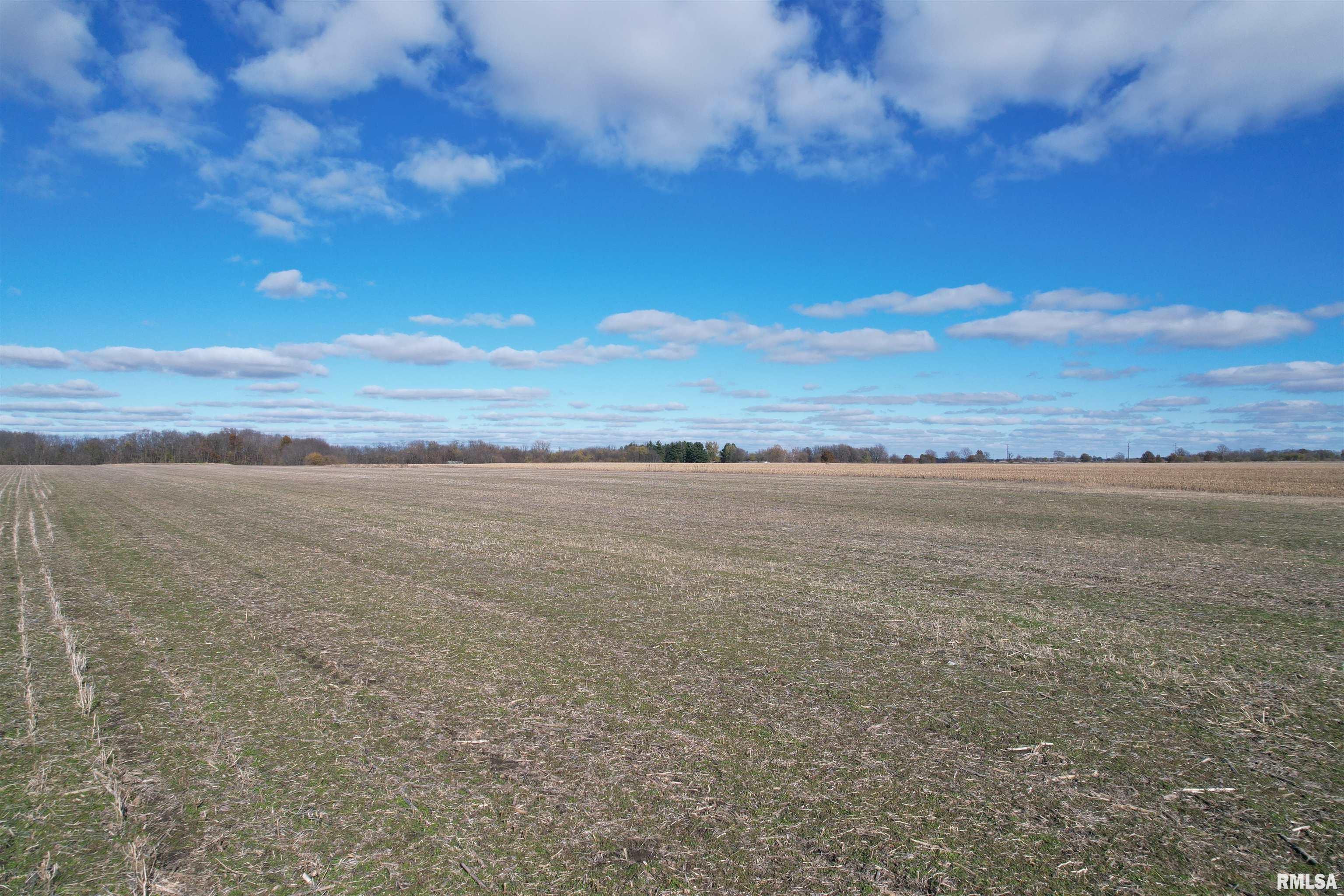 Phillips Ferry Rd Bluffs Bluffs, IL 62621 - Photo 8 of 12