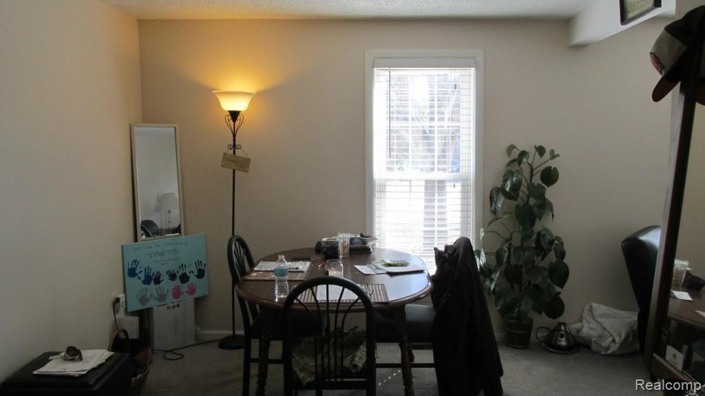 13885 Haggerty Road Belleville, MI 48111 - Photo 8 of 28 IMG_0399.jpg