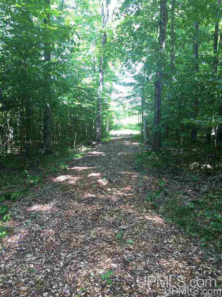 N3001 Tower Road Gwinn, MI 49841 - Photo 43 of 46