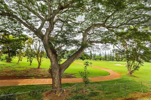 a view of a yard with an trees