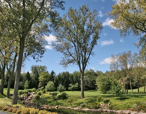 7 Fox Hunt Road Barrington Hills, IL 60010 - Photo 7 of 16